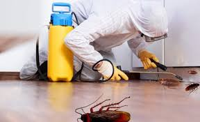 Fumigation Services